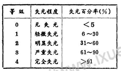 涂層失光